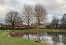 Stinkende Toestanden aan de Hullerweg