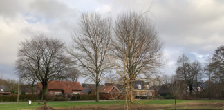 Stinkende Toestanden aan de Hullerweg