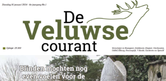 Freelance Advertentieacquisiteur gezocht voor de Veluwse Courant