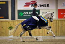 Kimberly Pap, Gelders Kampioen Z2 dressuur