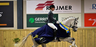 Kimberly Pap, Gelders Kampioen Z2 dressuur