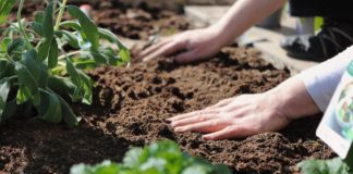 Gemeente Nunspeet deelt gratis compost uit op 23 maart