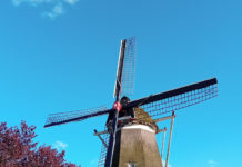 Nationale Molendag: Korenmolen De Maagd geopend voor bezoekers
