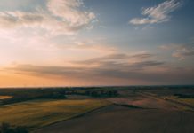 Duurzaamheid in het dagelijkse leven: kleine aanpassingen, groot verschil
