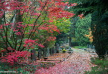 Eenvoudig een graf vinden op begraafplaats Nunspeet-Oost
