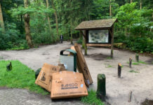 Afvaldump bij parkeerplaats Belvederebos