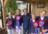 Zes leden van ponyclub Klein Maar Dapper kringkampioen dressuur