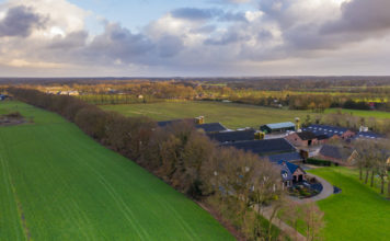 Gemeente Nunspeet stelt subsidie beschikbaar voor erfbeplanting in het buitengebied