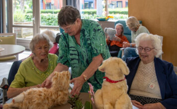 Bewoners Seewende krijgen troostende knuffelbeesten dankzij Joke