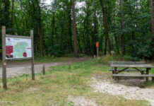 Incident met hond en vermoedelijke wolf in het Zandenbos