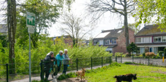 Hondenuitlaatrennen in Elspeet