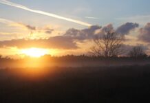 Levenslessen van het vernieuwen van je woning: meer dan alleen esthetiek