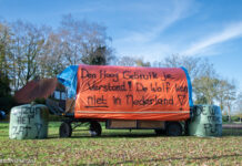 Wolf veroorzaakt onrust in de gemeente Nunspeet