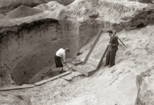 Goud gevonden op de Noord-West Veluwe