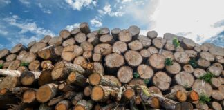 Motie brandhoutverkoop aangenomen