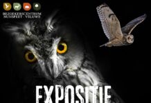 Nachtbrakers, uilen van de wereld