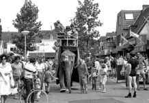 Opzienbarend zomerprogram: van stierrodeo tot olifantenrit