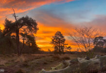 Expeditie Veluwe