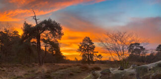 Opwarming van de aarde: hebben we straks meer zon?