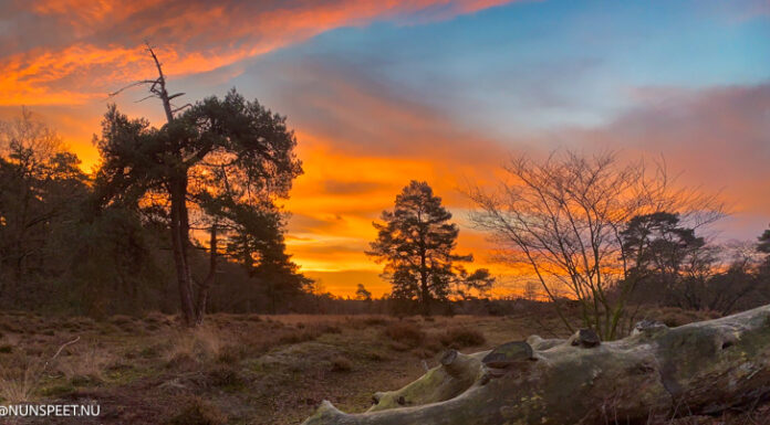 Opwarming van de aarde: hebben we straks meer zon?