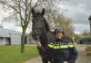 24 uur met een ruiter bij de bereden politie