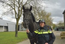 24 uur met een ruiter bij de bereden politie
