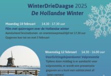 WinterDrieDaagse 2025: De Hollandse Winter in Het Venster