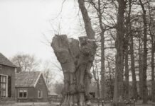 Geen begrip voor waardevol bezit