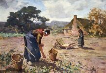 Van den Broek Lohman Fonds Nunspeet maakte in 2024 tweeënveertig Nunspeetse organisaties blij