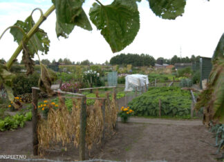 Gemeente Nunspeet breidt volkstuinencomplex De Kleine Bunte uit