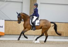 Uitstekende resultaten voor Ponyclub Klein Maar Dapper op NK