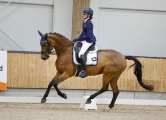 Uitstekende resultaten voor Ponyclub Klein Maar Dapper op NK