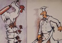 Gluren bij de buren: Het Nederlandse Pluimveemuseum