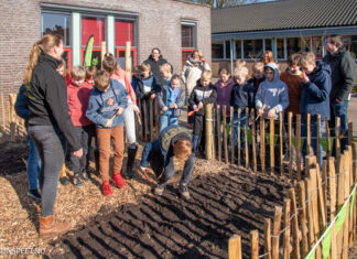 Nieuw Voedselbosje in Nunspeet: Groen genieten en natuurlijk oogsten