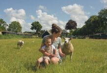 24 uur met oncologie- en hematologieverpleegkundige Magriet Compaijen