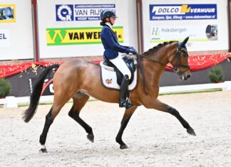 Prachtige resultaten voor ruiters van Ponyclub Klein Maar Dapper