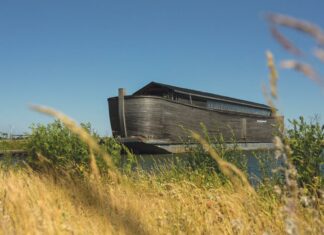 Gluren bij de buren: Bijbelse geschiedenis gaat leven in de verhalen ark in Zeewolde