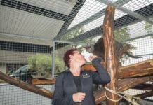 24 uur in dierenhotel De Gerelshoeve