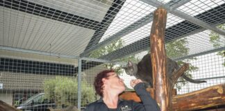 24 uur in dierenhotel De Gerelshoeve