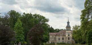 Laat je verrassen op de Veluwe