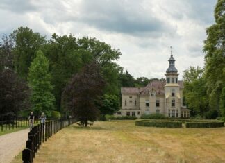 Laat je verrassen op de Veluwe