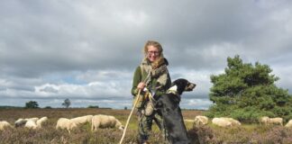 24 uur met met schaapherder Daphne van Zomeren
