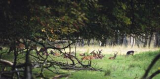 Gluren bij de buren: Gluren bij Het Aardhuis