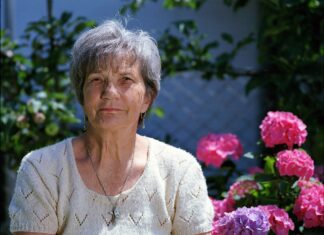 Wat te doen bij een gebroken kunstgebit?