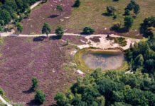 Gemeente Nunspeet lanceert duurzaamheidsloket ‘Nunspeet Leeft Natuurlijk’