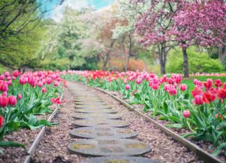 Installatietips voor je nieuwe watertank