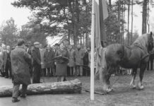 Toeristische autoweg door prachtig bosgebied geopend (1964)