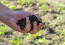 Gemeente Nunspeet deelt gratis compost uit op 29 maart
