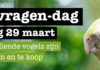 Kom naar de Vogel-vragendag bij Dierspecialist Berben