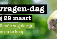 Kom naar de Vogel-vragendag bij Dierspecialist Berben